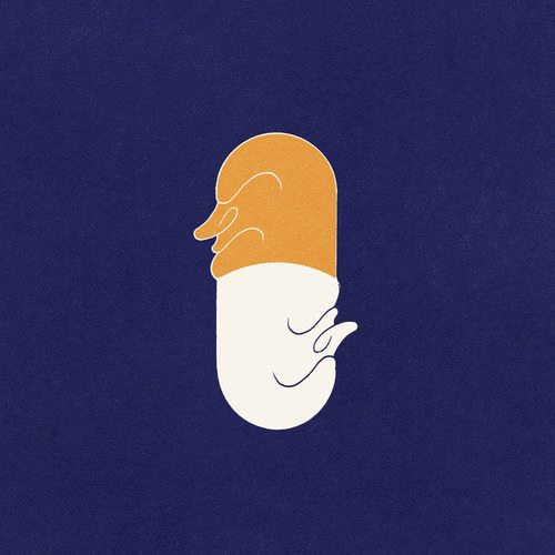 Pigs Pigs Pigs Pigs Pigs Pigs Pigs : Mr Medicine